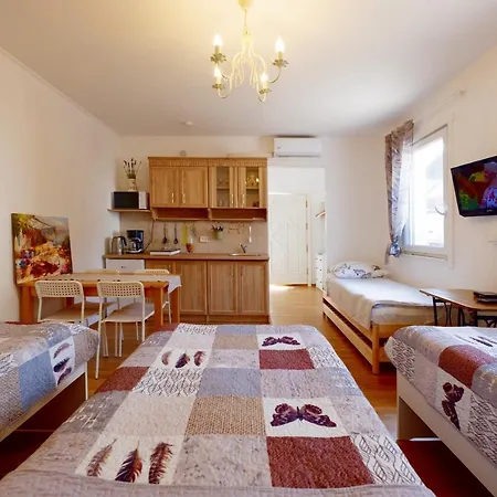 Apartman Eco-lux With Free Bicycles End Free Parking *