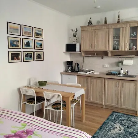 Apartment Eco-lux With Free Bicycles End Free Parking Ljubljana