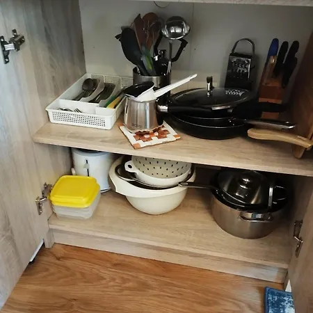 Apartment Eco-lux With Free Bicycles End Free Parking Ljubljana