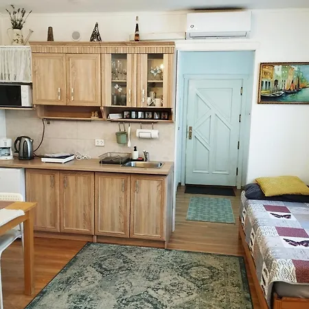 Apartment Eco-lux With Free Bicycles End Free Parking Ljubljana