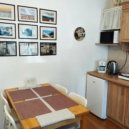 Eco-lux With Free Bicycles End Free Parking Liubliana