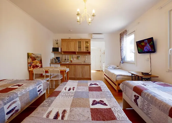 Apartma Eco-lux With Free Bicycles End Free Parking *