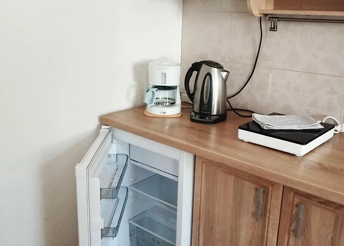 Apartamento Eco-lux With Free Bicycles End Free Parking Liubliana